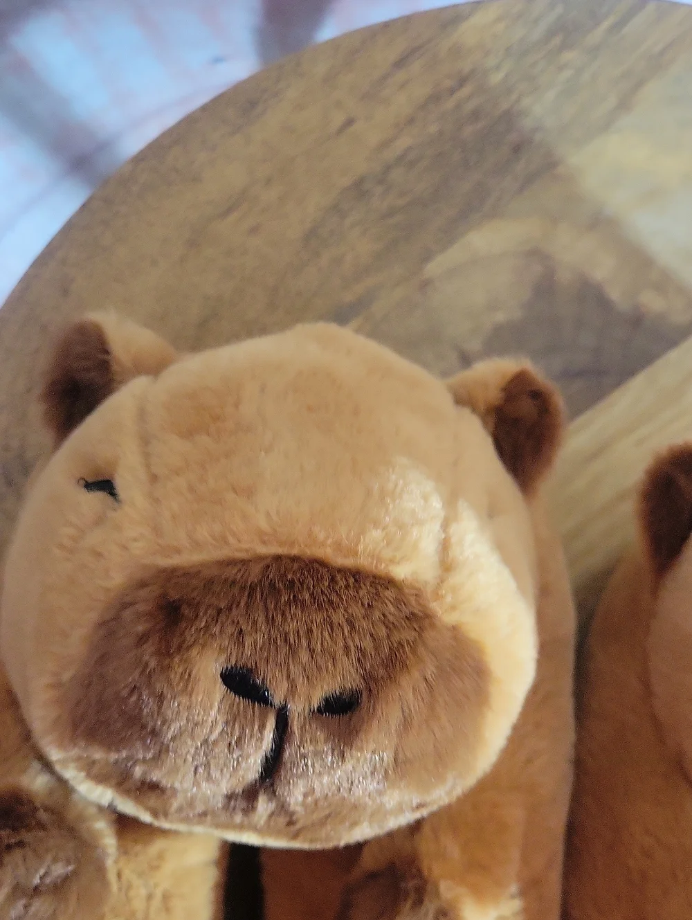 Capybara Slippers